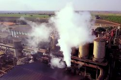 Tại sao Big Tech đổ tiền vào startup không phát thải carbon?