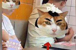 Đưa em gái đi cùng, anh trai vẫn mải mê ôm ấp người yêu, vẻ mặt cô gái gây 'chạnh lòng'