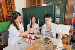 Chiết xuất hoạt chất từ xáo tam phân chế biến nước yến