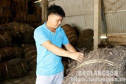Làm giàu từ kinh doanh nông sản, dược liêụTin khácThi tốt nghiệp THPT 2022: Đảm bảo an toàn, nghiêm túc trong mọi tình huốngGóp phần đẩy mạnh thanh toán không dùng tiền mặt