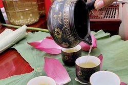 Hấp dẫn trà sen Kiếp Bạc