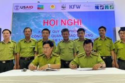 Kinh tế Kinh tế Ký kết quy chế phối hợp quản lý, bảo vệ rừng
