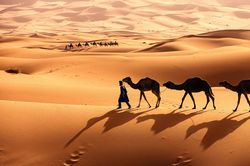 Dùng radar đo độ sâu sa mạc Sahara, chuyên gia phát hiện thứ cực sốc