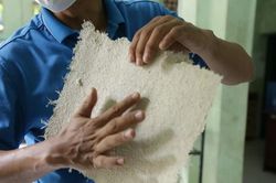 Độc đáo: Làm giấy từ... phân voi
