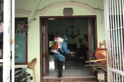 Ca sốt xuất huyết tăng đột biến ở nhiều tỉnh