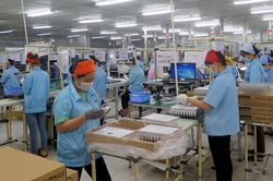 Kim ngạch xuất khẩu hàng Việt sang Nhật Bản tăng gần 13%