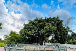 Đệ nhất giếng làng ở Nam Đàn