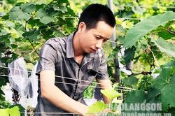 Phát triển kinh tế từ mô hình trồng nho kết hợp du lịch trải nghiệmTin khácDự án Khu đô thị mới Mai Pha: Lắng nghe để tạo đồng thuận (kỳ 2)Dự án Khu đô thị mới Mai Pha: Lắng nghe để tạo đồng thuận (kỳ 1)