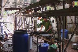 Chàng trai đam mê phát triển cổ phục Việt