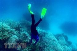 LHQ kêu gọi thay đổi đáng kể cách con người đánh giá thiên nhiên