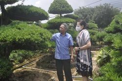 Nhiều tiềm năng phát triển