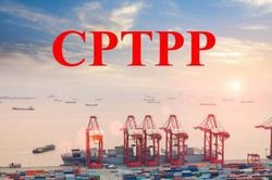 Quy định về đấu thầu mua sắm hàng hóa theo Hiệp định CPTPP