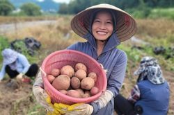 Mẹ đơn thân lấy chồng Hàn: Hôn nhân tốt đẹp nhưng rất nhớ con