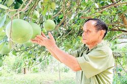 Đại tá Hồ Quang Thân - Cựu cán bộ công an mẫu mực