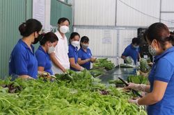Để tránh 'điệp khúc' thừa nông sản, thiếu nguyên liệu
