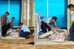 400 kg thực phẩm đông lạnh không rõ nguồn gốc, xuất xứ bị quản lý thị trường tạm giữ