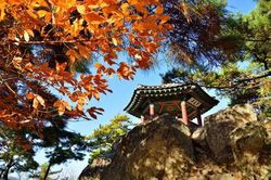 Bảo tàng Lịch sử quốc gia tổ chức trưng bày Quần thể di tích lịch sử Baekje, Hàn QuốcTin khácĐảm bảo an ninh, an toàn trong hoạt động thanh toán không dùng tiền mặtQuan tâm, gỡ khó cho doanh nghiệp xây dựng trong bối cảnh giá vật liệu tăng cao