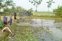 Thành lập Tổ hợp tác nuôi trồng thủy sản xã Cam Thủy