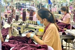 Chính trị - Xã hội Theo dòng thời sự Thu ngân sách 6 tháng đầu năm đạt 5.786 tỷ đồng