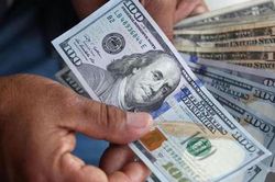 Tỷ giá USD hôm nay 14/7: Quay đầu giảm nhẹ