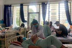 Lo 'giữ mẹ mất con', TP.HCM lập phác đồ điều trị sốt xuất huyết riêng cho thai phụ