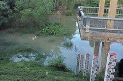 Nghệ An: 2 chị em ruột rơi cống nước tử vong thương tâm