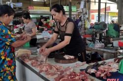 Giá lợn hơi tại Thanh Hóa tăng mạnh từng ngày