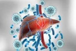 Bệnh viêm gan do virus