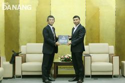 Tạo điều kiện tối đa cho Tập đoàn Mitsubishi đầu tư vào Đà Nẵng