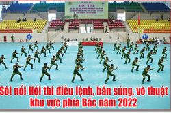 Sôi nổi Hội thi điều lệnh, bắn súng, võ thuật khu vực phía Bắc năm 2022