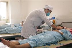 Bộ Y tế phân tuyến điều trị sốt xuất huyết như thế nào?
