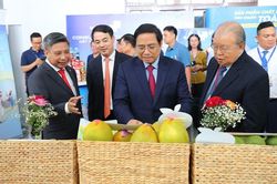 Thủ tướng dự và chỉ đạo hội nghị xúc tiến đầu tư tỉnh Hậu Giang 2022