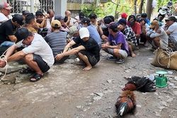Bắt quả tang 35 đối tượng đá gà ăn tiền trong con hẻm vắng