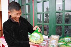 'Đậu phộng organic' bén duyên đất Hoàng Thu Phố