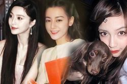 Phạm Băng Bang, Châu Tấn vẫn trẻ trung như thuở mới debut, bí quyết là gì?