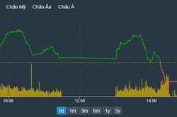 'Cặp đôi' VIC, VHM lại giảm mạnh, VN-Index mất trụ