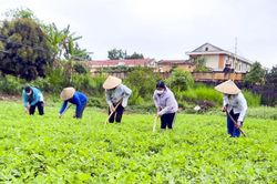 Nhân lên những việc làm ý nghĩa