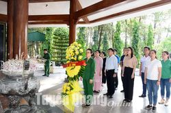 Mãi xanh cùng cây lá Trường Sơn