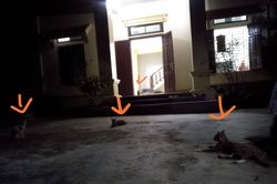 Anh chàng đột ngột bỏ chạy ngay khi đến nhà bạn gái, biết lí do càng bất ngờ hơn
