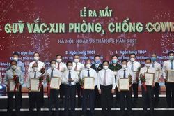 Tháo gỡ khó khăn, vướng mắc xếp loại đối với DNNN tham gia đóng góp, ủng hộ phòng, chống dịch COVID-19