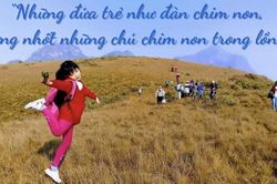 Khai thác tiềm năng phát triển du lịch giáo dục