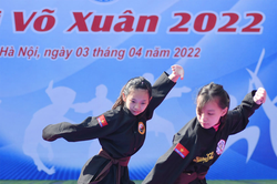 Đừng làm tổn hại hình ảnh võ cổ truyền Việt Nam