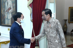 Quan hệ Việt Nam - Indonesia ngày càng phát triển sâu rộng và hiệu quả