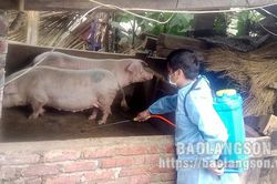 Bệnh dịch tả lợn châu Phi tiếp tục tái phát mạnhTin khácĐảm bảo an ninh, an toàn trong hoạt động thanh toán không dùng tiền mặtQuan tâm, gỡ khó cho doanh nghiệp xây dựng trong bối cảnh giá vật liệu tăng cao