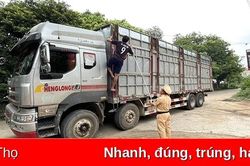 Thanh Sơn: Xử lý 330 trường hợp vi phạm TTATGT