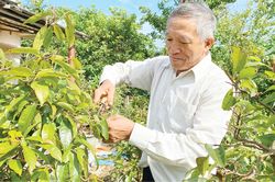 Chính trị - Xã hội Chính trị - Xã hội Bản lĩnh của một cựu chiến binh