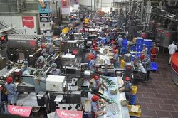 Thế giới Thế giới ADB hạ dự báo tăng trưởng GDP khu vực châu Á - Thái Bình Dương