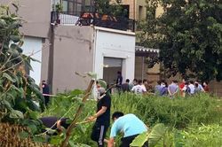 Điều tra vụ thi thể một phụ nữ không toàn vẹn
