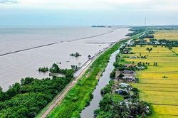 Đê biển Tây sạt lở nguy hiểm, Cà Mau công bố tình huống khẩn cấp thiên tai