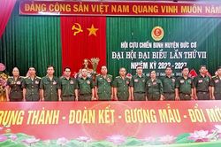 Đức Cơ: Khen thưởng 25 tập thể, cá nhân trong công tác xây dựng và hoạt động Hội Cựu chiến binh